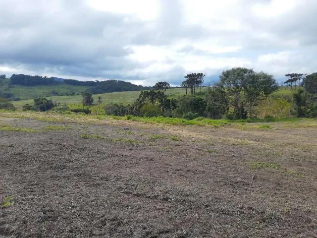 Fazenda venda em Região Geográfica Imediata de Telêmaco Borba, Ortigueira