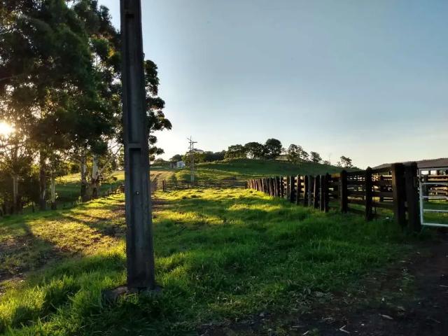 Fazenda venda em Região Geográfica Imediata de Telêmaco Borba, Ortigueira