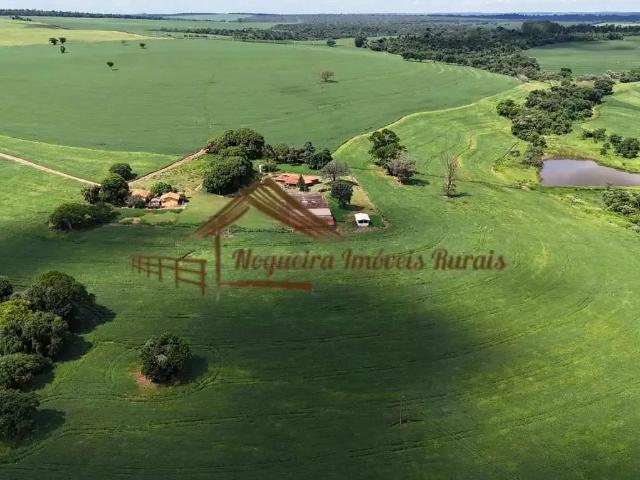 Fazenda venda em Região Geográfica Imediata de Santo Antônio da Platina, Guapirama
