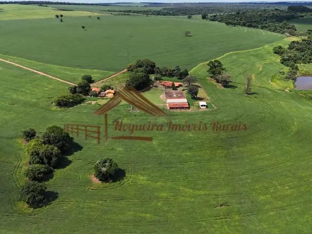 Fazenda venda em Região Geográfica Imediata de Santo Antônio da Platina, Guapirama