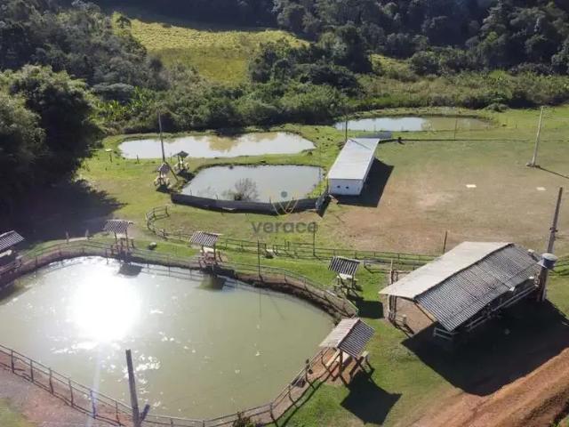 Fazenda venda em Região Geográfica Imediata de Conselheiro Lafaiete, Ouro Branco