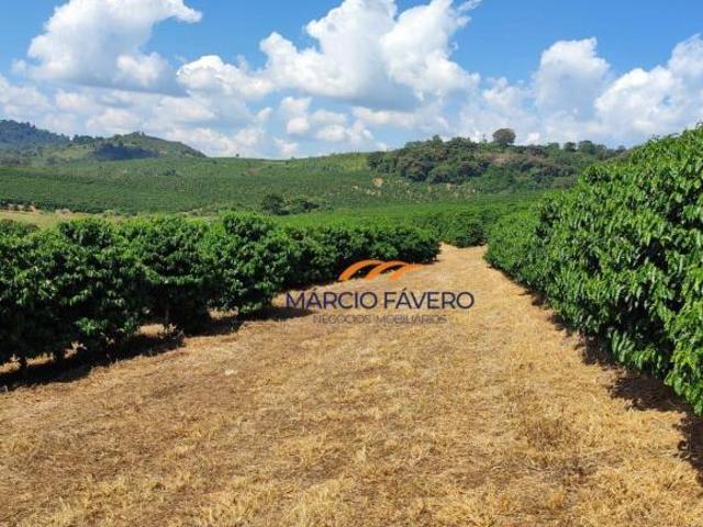 Sítio e chácara venda em Várzea, Ouro Fino