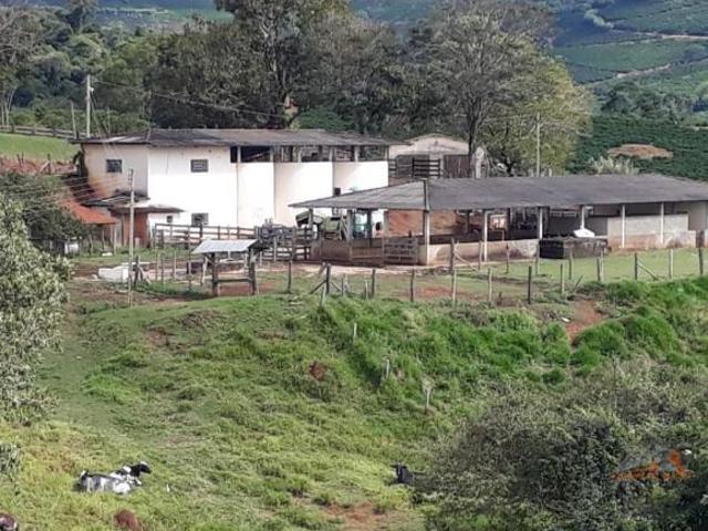 Sítio e chácara venda em Jardim dos Ypês, Ouro Fino