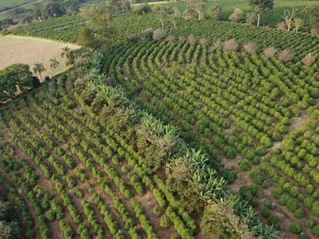Fazenda venda em Região Imediata de Campinas, Região Metropolitana de Campinas