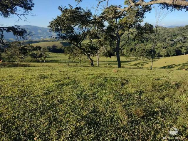 Fazenda venda em Região Geográfica Imediata de Pouso Alegre, Ouro Fino
