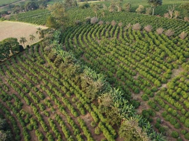 Fazenda venda em Região Imediata de Campinas, Região Metropolitana de Campinas