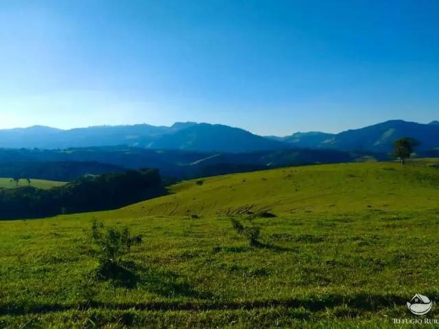 Fazenda venda em Região Geográfica Imediata de Pouso Alegre, Ouro Fino