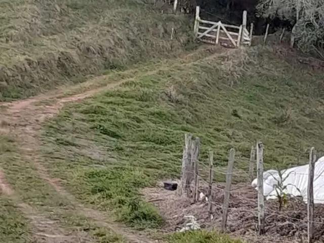 Fazenda venda em Região Geográfica Imediata de Pouso Alegre, Ouro Fino