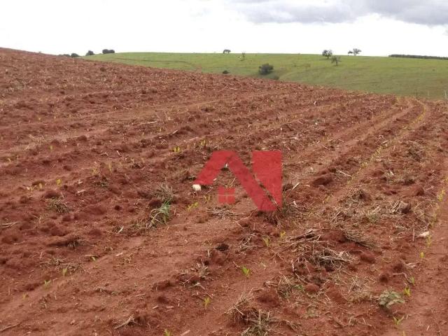 Fazenda venda em Região Geográfica Imediata de Pouso Alegre, Ouro Fino