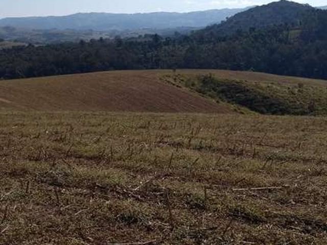 Fazenda venda em Região Geográfica Imediata de Pouso Alegre, Ouro Fino