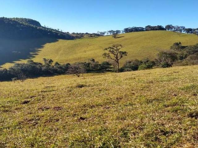 Fazenda venda em Região Geográfica Imediata de Pouso Alegre, Ouro Fino