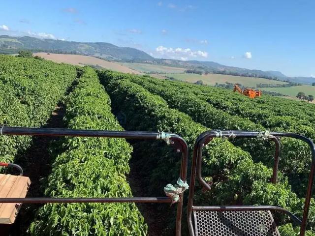 Fazenda venda em Região Geográfica Imediata de Santa Bárbara - Ouro Preto, Ouro Preto