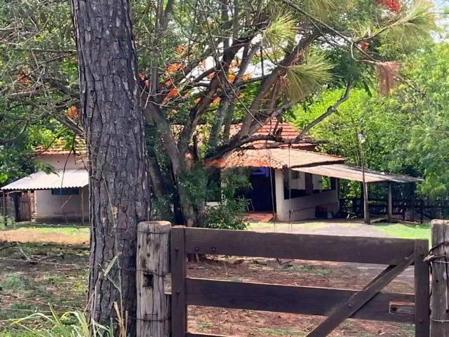 Fazenda venda em Região Imediata de Fernandópolis, Ouroeste