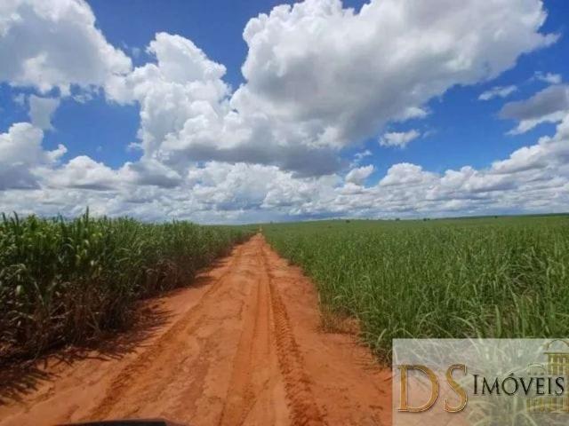 Fazenda venda em Pacaembu