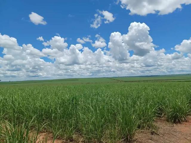 Fazenda venda em Região Imediata de Adamantina-Lucélia, Pacaembu