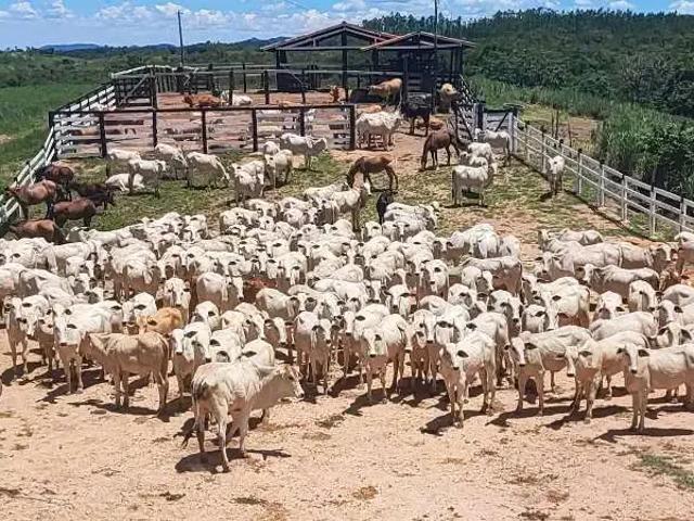 Fazenda venda em Região Geográfica Imediata de Águas Lindas de Goiás, Região Integrada de Desenvolvimento do Distrito Federal e Entorno