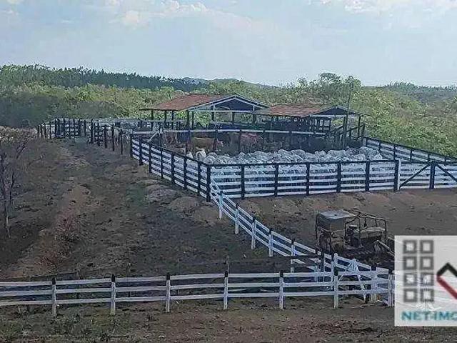 Fazenda venda em Região Geográfica Imediata de Águas Lindas de Goiás, Região Integrada de Desenvolvimento do Distrito Federal e Entorno