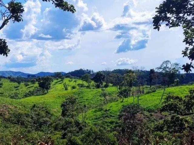 Fazenda venda em Região Geográfica Imediata de Águas Lindas de Goiás, Região Integrada de Desenvolvimento do Distrito Federal e Entorno