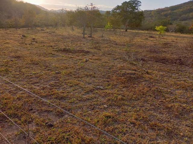 Fazenda venda em Região Geográfica Imediata de Águas Lindas de Goiás, Região Integrada de Desenvolvimento do Distrito Federal e Entorno
