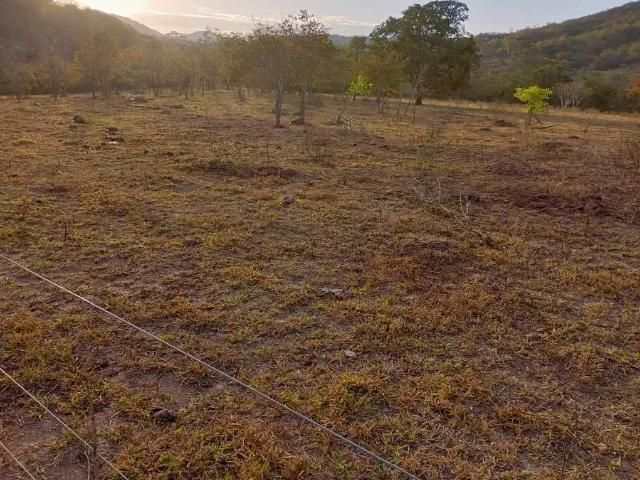 Fazenda venda em Região Geográfica Imediata de Águas Lindas de Goiás, Região Integrada de Desenvolvimento do Distrito Federal e Entorno