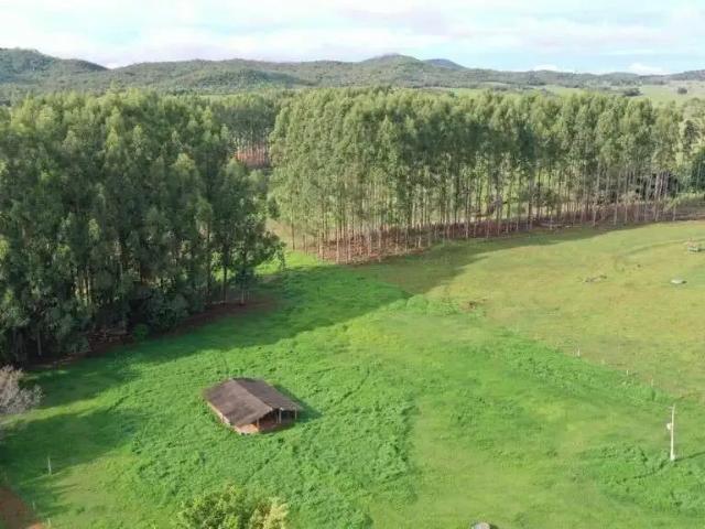 Fazenda venda em Região Geográfica Imediata de Águas Lindas de Goiás, Região Integrada de Desenvolvimento do Distrito Federal e Entorno