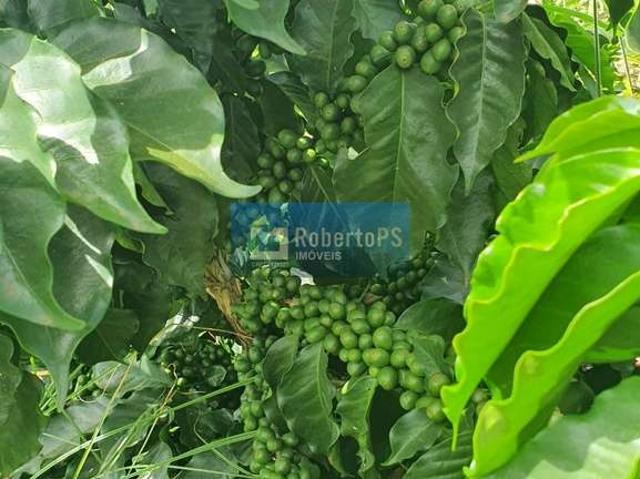 Fazenda venda em Região Geográfica Imediata de Abaeté, Paineiras