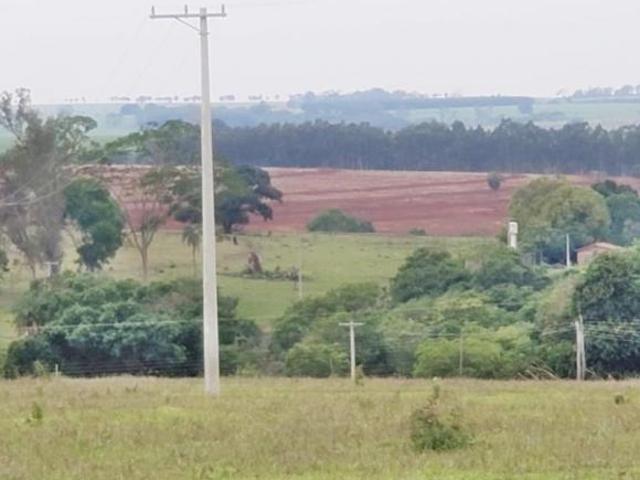 Sítio e chácara venda em Região Imediata de São José do Rio Preto, Região Metropolitana de São José do Rio Preto