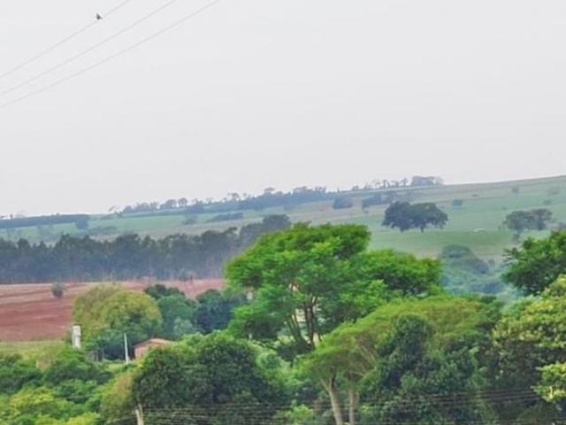 Sítio e chácara venda em Região Imediata de São José do Rio Preto, Região Metropolitana de São José do Rio Preto