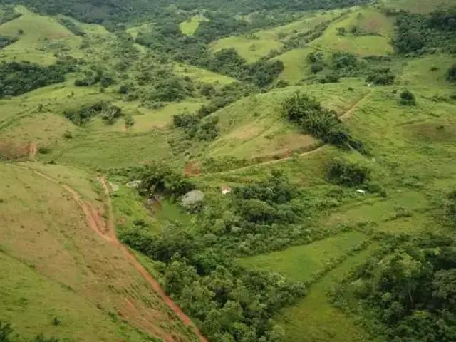 Fazenda venda em Palma, Região Geográfica Intermediária de Juiz de Fora