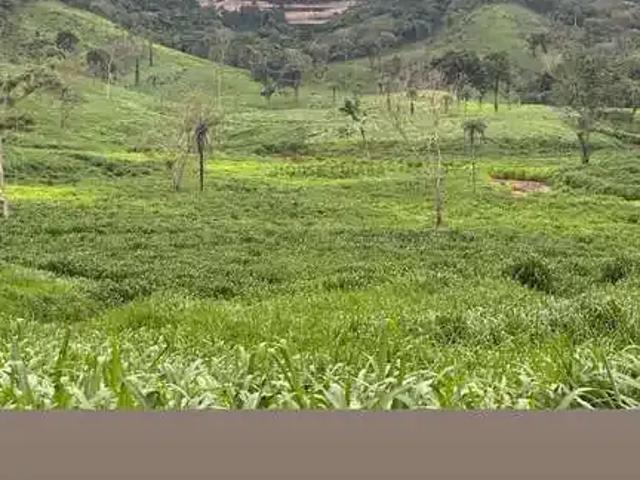 Fazenda venda em Região Geográfica Imediata de Palmas, Palmas