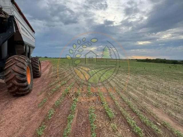 Fazenda venda em Região Geográfica Imediata de Palmas, Palmas