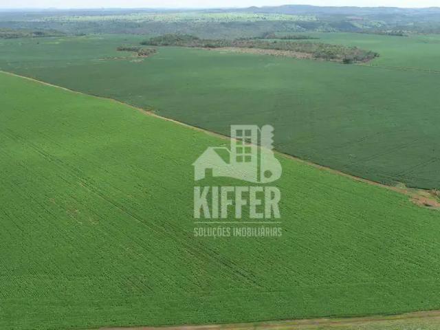 Fazenda venda em Região Geográfica Imediata de Palmas, Palmas