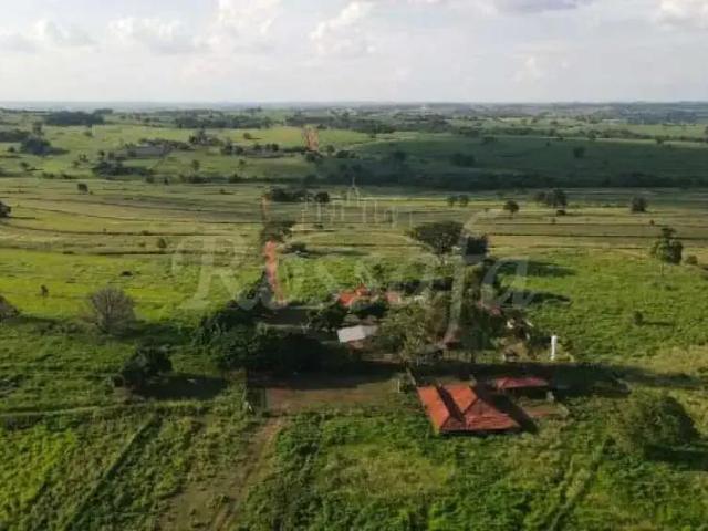 Fazenda venda em Região Imediata de Assis, Palmital