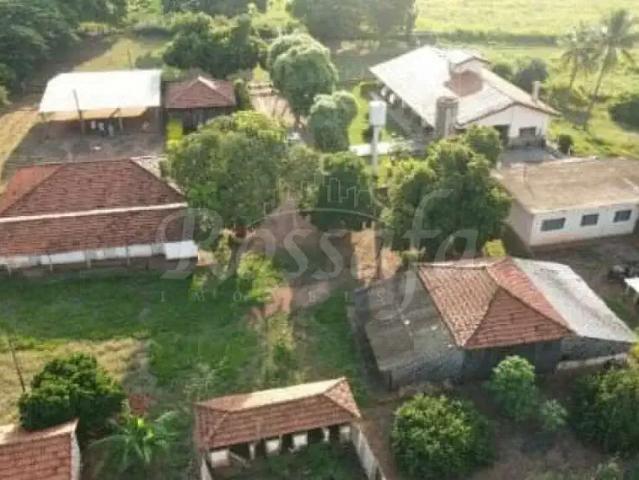 Fazenda venda em Região Imediata de Assis, Palmital