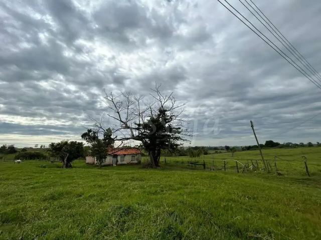 Fazenda venda em Região Imediata de Assis, Palmital