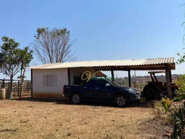 Fazenda venda em Região Imediata de Jales, Palmeira d'Oeste