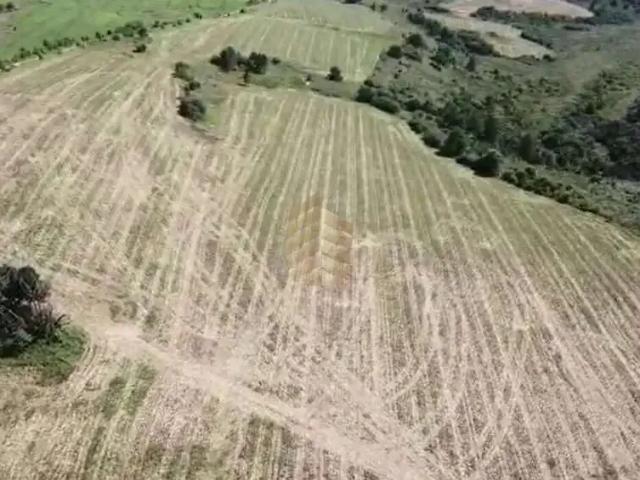 Fazenda venda em Região Geográfica Imediata de Ponta Grossa, Palmeira