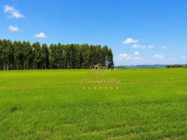 Fazenda venda em Região Geográfica Imediata de Ponta Grossa, Palmeira