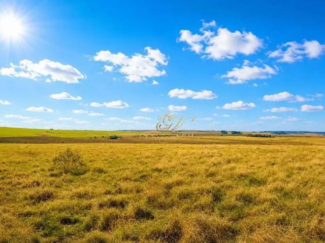 Fazenda venda em Região Geográfica Imediata de Ponta Grossa, Palmeira