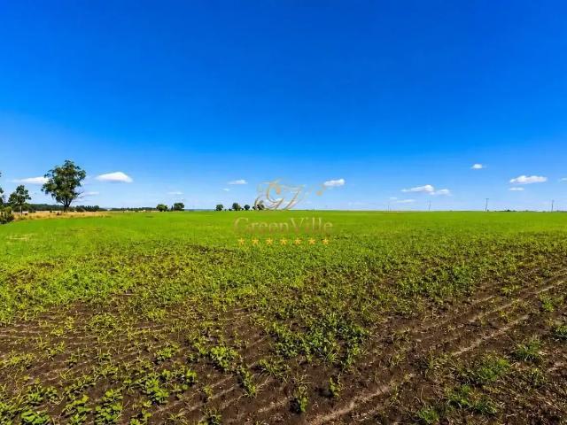 Fazenda venda em Região Geográfica Imediata de Ponta Grossa, Palmeira