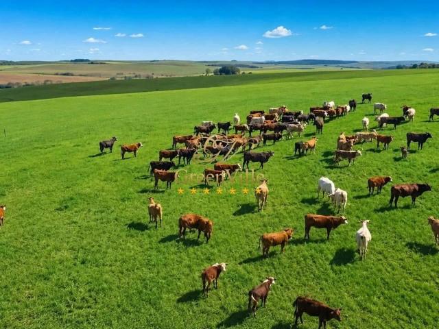 Fazenda venda em Guarapuava, Região Geográfica Intermediária de Guarapuava