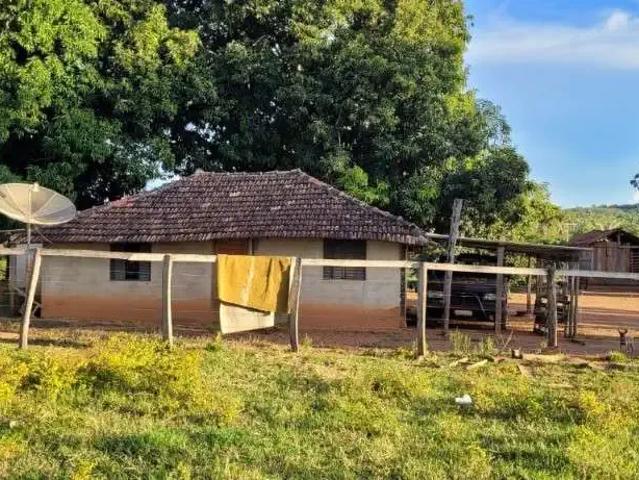 Fazenda venda em Região Geográfica Imediata de Gurupi, Palmeirópolis
