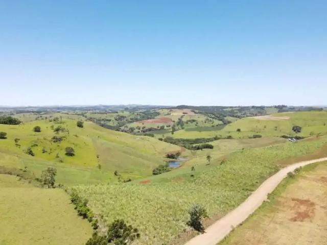 Fazenda venda em Região Geográfica Imediata de Pitanga, Palmital