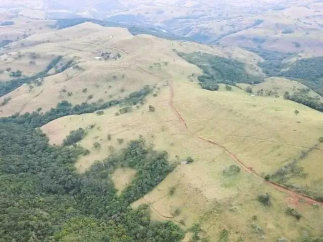 Fazenda venda em Região Geográfica Imediata de Pitanga, Palmital