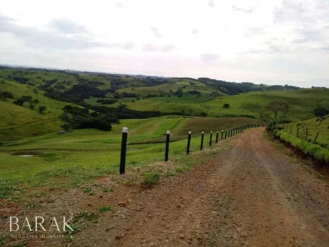 Fazenda venda em Região Geográfica Imediata de Maringá, Maringá