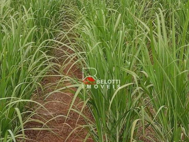 Sítio e chácara venda em Região Imediata de Dracena, Panorama