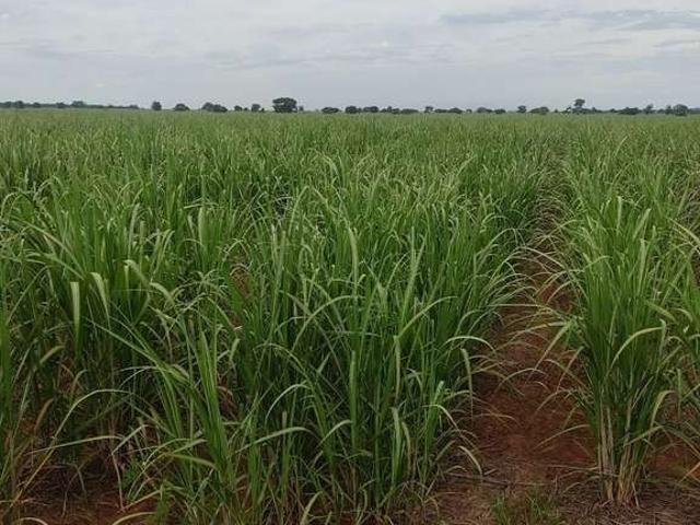 Fazenda venda em Região Imediata de Dracena, Panorama