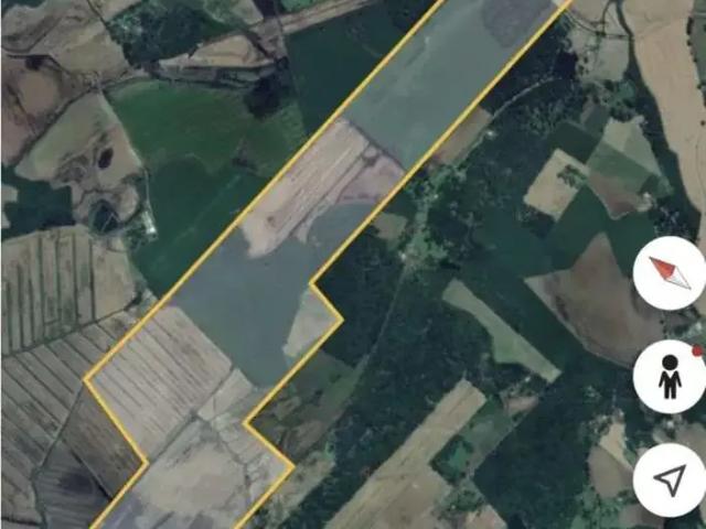 Fazenda venda em Região Geográfica Imediata de Mafra, Papanduva