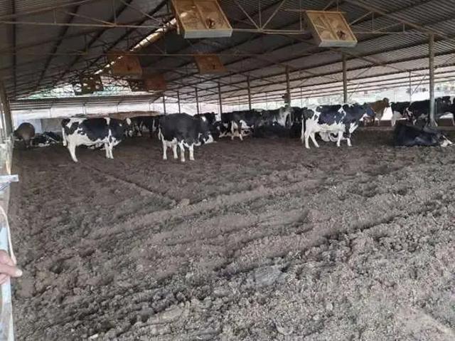 Fazenda venda em Região Geográfica Imediata de Pará de Minas, Pará de Minas