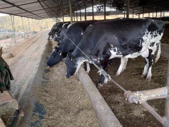 Fazenda venda em Região Geográfica Imediata de Pará de Minas, Pará de Minas